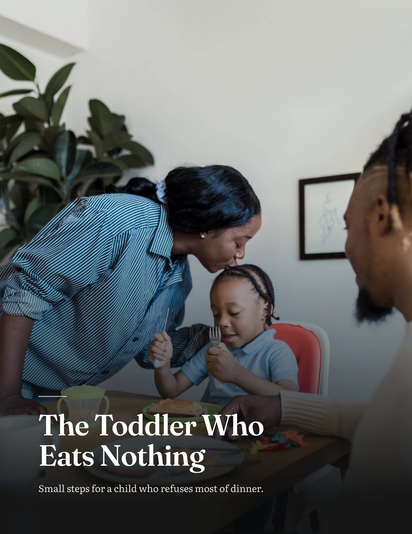 The Toddler Who Eats Nothing, a new cover concept